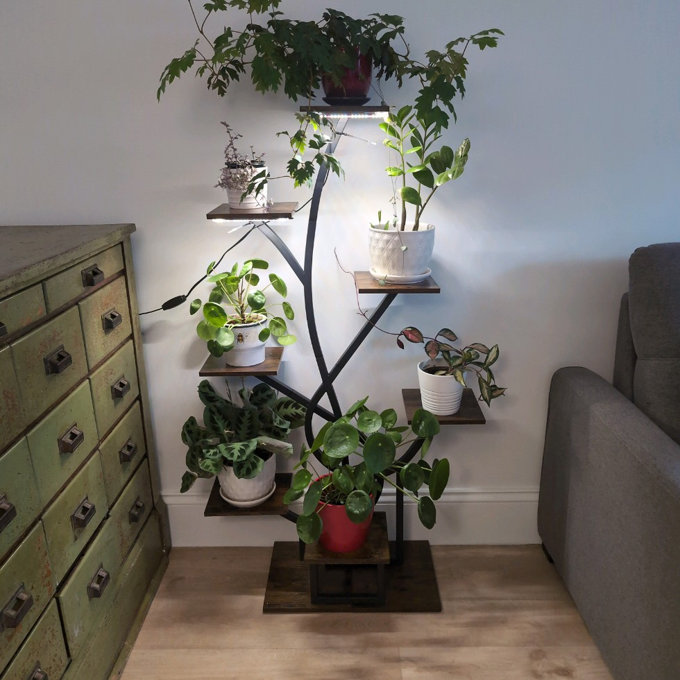 Arlmont & Co. 50" Metal Plant Stand Indoor with Grow Lights, 8 Tiered Indoor  Plant Shelf, Corner Plant Stands for Indoor Plants & Reviews | Wayfair