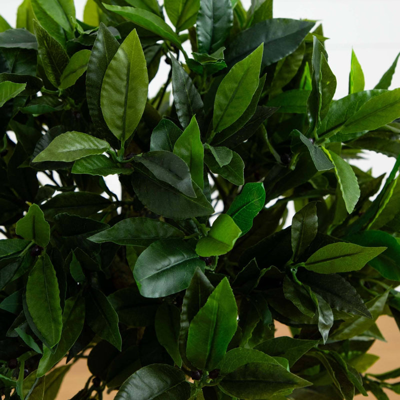 Bay Leaf Topiary Silk Tree
