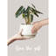 Pots de plantes, ensemble de 3, pots à fleurs en céramique avec trou de drainage et soucoupe, pot de fleurs d'intérieur avec coussin en filet, cadeaux pour maman, glacis réactif