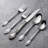 Wordsworth 45 Piece Everyday Flatware Set