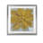 " Golden Blue "-33349169-33488463