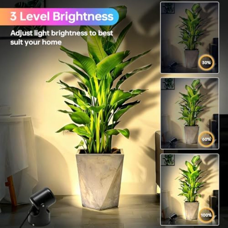 Projecteur d'intérieur RVB pour plantes, éclairage à DEL de 6 W avec télécommande et interrupteur au pied, éclairage décoratif à changement de couleur pour le mur, les œuvres d'art, la décoration de pièce et de fête, lampe de plancher à brancher, noir, paquet de 8