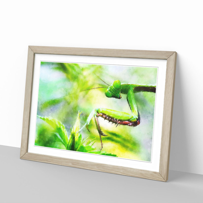 Peering Praying Mantis - Picture Frame Graphic Art Print, Oak, 45cm H x 63cm W x 2cm D