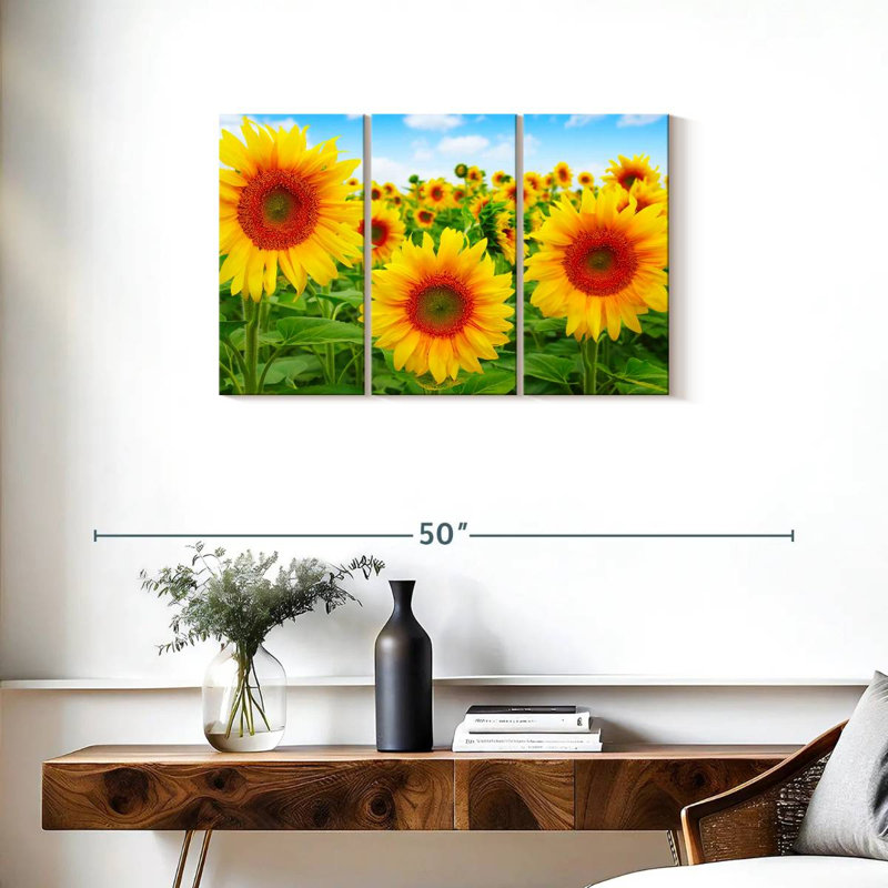 Champ de tournesols Alvord, H 20 po x l 33 po