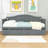 Efthim Twin Size Daybed with Trundle-2009575101