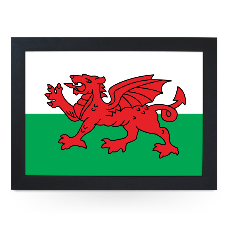 Refugio Tray, Black