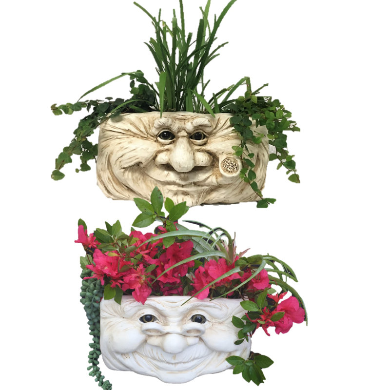 Pot de fleurs à motif de marguerites et de pleurs de Muggly's 2 pièces, Blanc antique