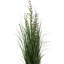 Herbe verte artificielle en pot et eucalyptus.-1411198753