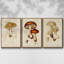 Ensemble de 3 pièces champignon V Variétés encadrées sur toile-97708994-97708997