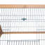 Cage pour animaux 46 po x 24 po en bois jaune pour l'extérieur avec fil de ventilation et de ventilation