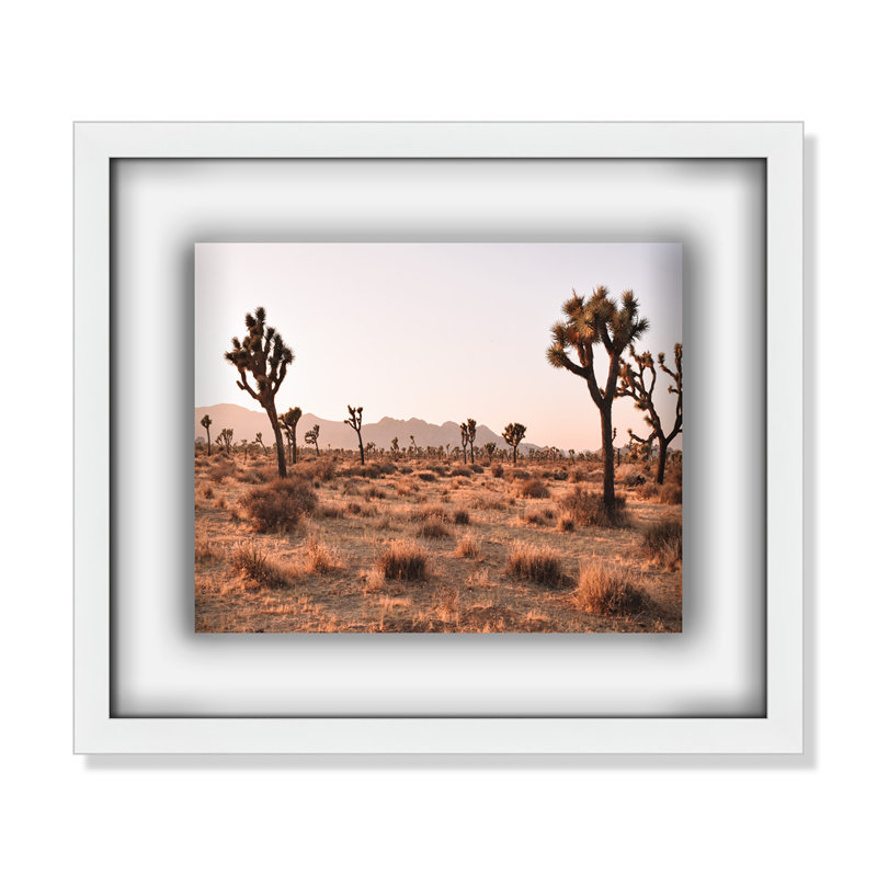Tree - Picture Frame Photograph, Satin White, 13" H x 15" W x 1.25" D