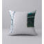 Housse de coussin carrée/insert-1691673964