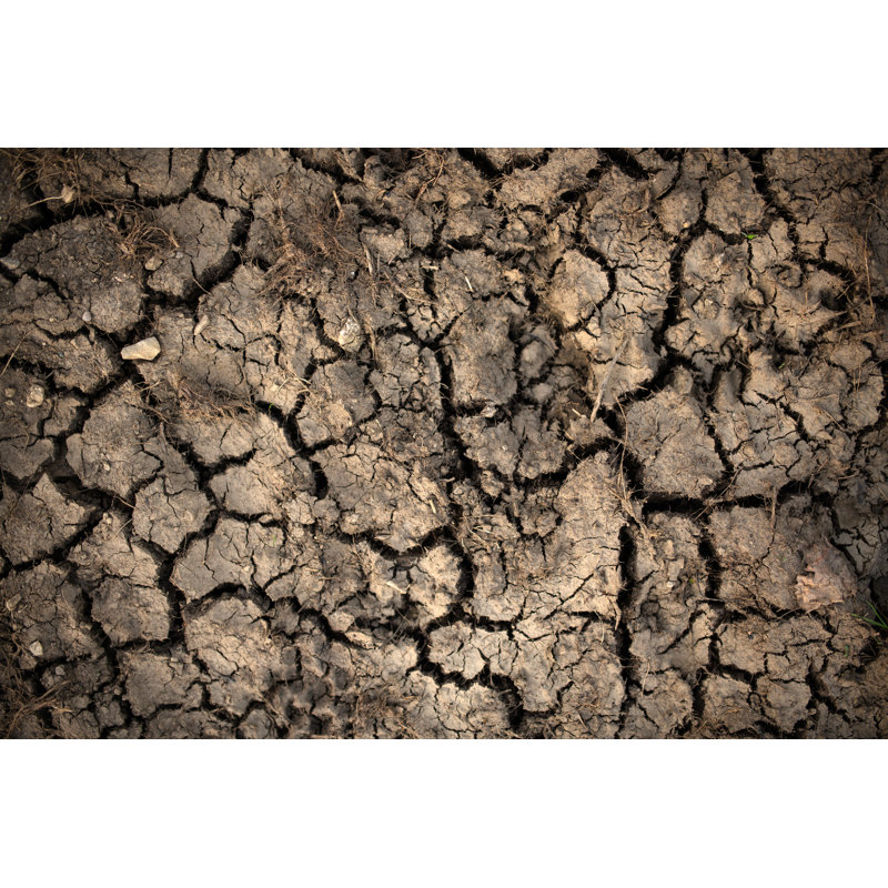 «Dry Cracked Ground Allemagne» par Taikrixel, H 32 po x l 48 po