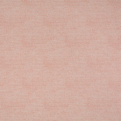 Apostrophe Fabric