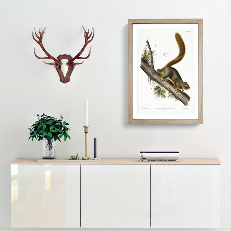Red-Tailed Squirrel by J.W. Audubon - Picture Frame Painting Print, 65cm H x 48cm W x 2cm D, Oak Framed