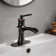 Single Hole Bathroom Faucet Single-handle Bathroom Sink Faucet with Drain Assembly