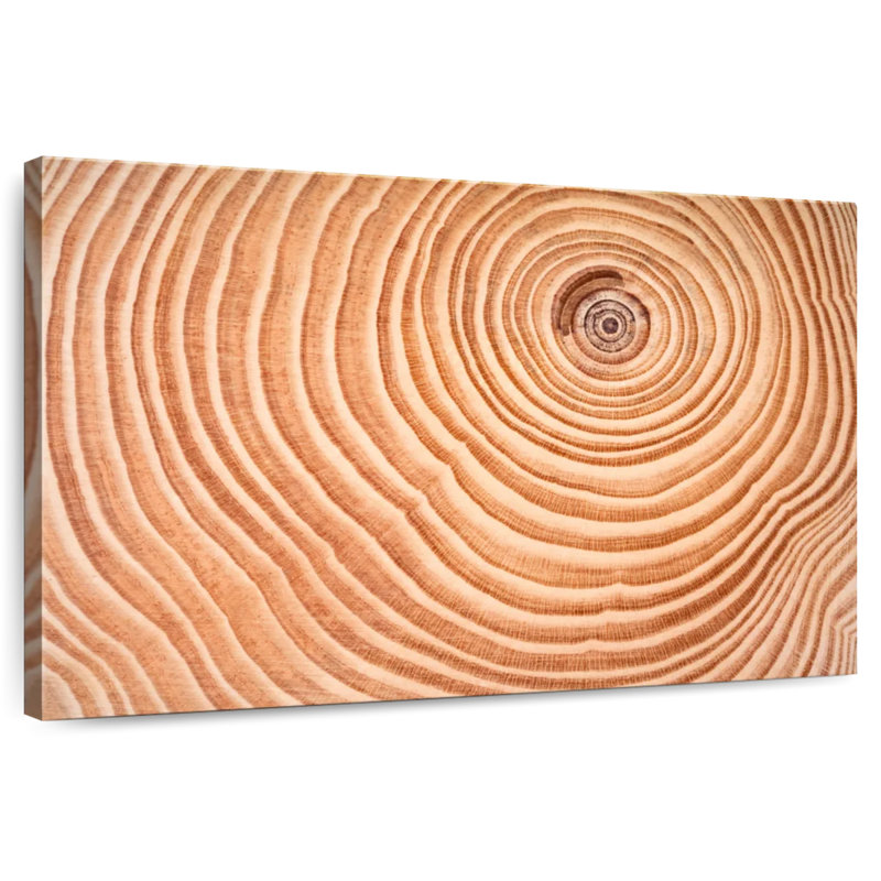 Harnek Tree Rings