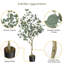 Arbre d'eucalyptus artificiel, faux eucalyptus avec des feuilles d'argent-111312774