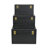 Sable Set of 3 Trunks with Gold Handles-2046904637