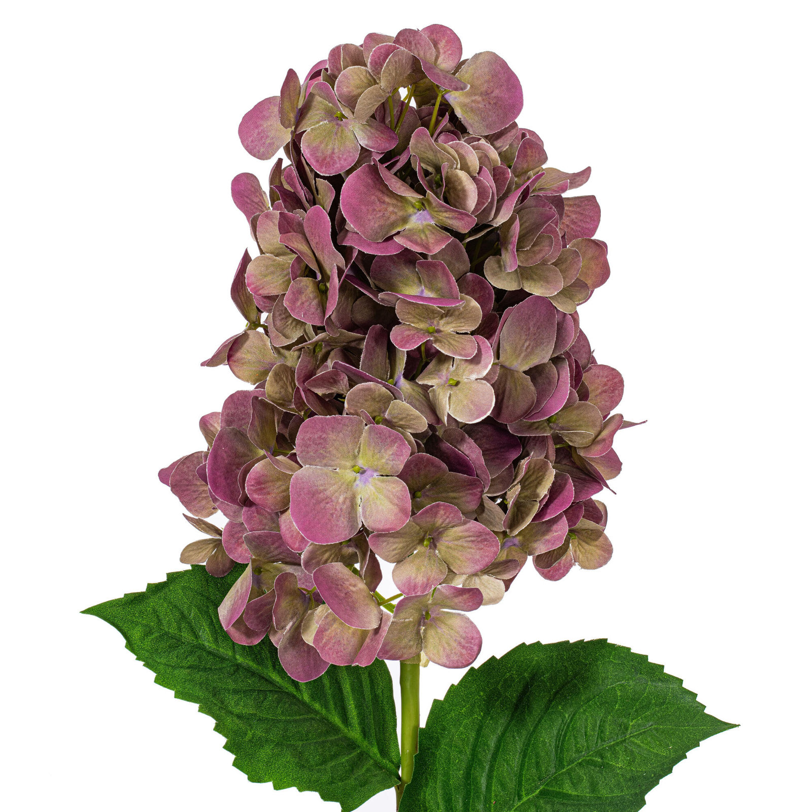 Lavender Floral Stems, Plum
