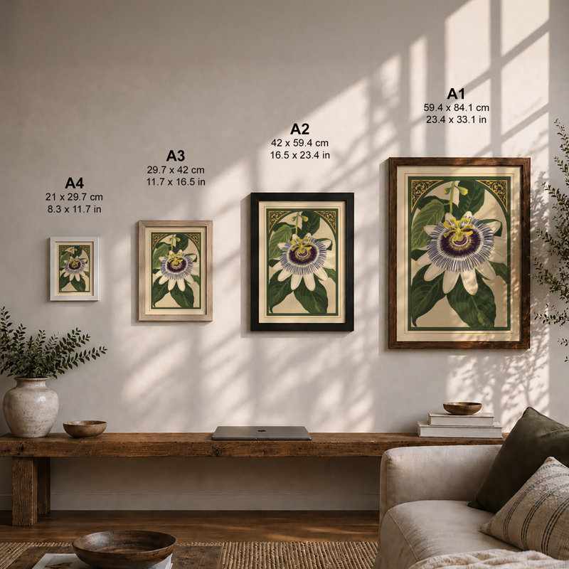 Passion Flower Study Botanical - Framed Print, A4 - 29.7 x 21.0 cm, Walnut