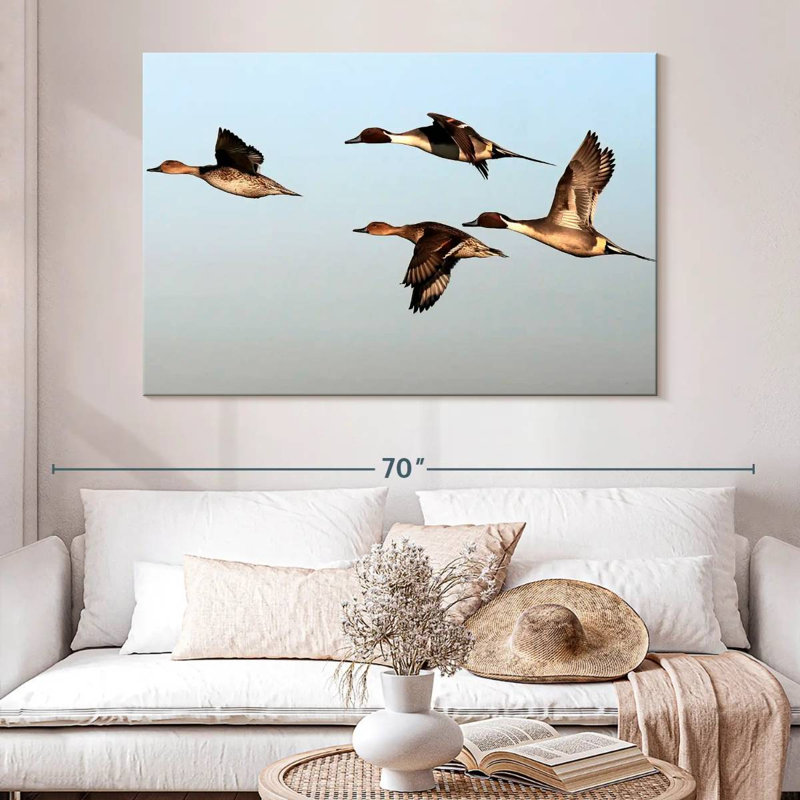 Pintail Ducks, H 34 po x l 51 po