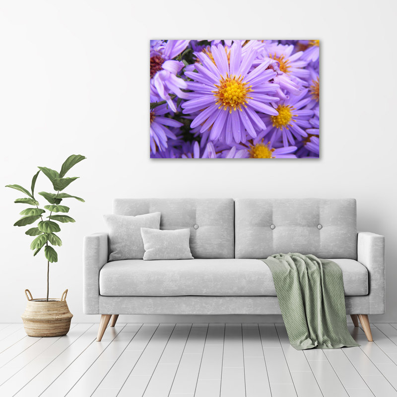Astra - Wrapped Canvas Print