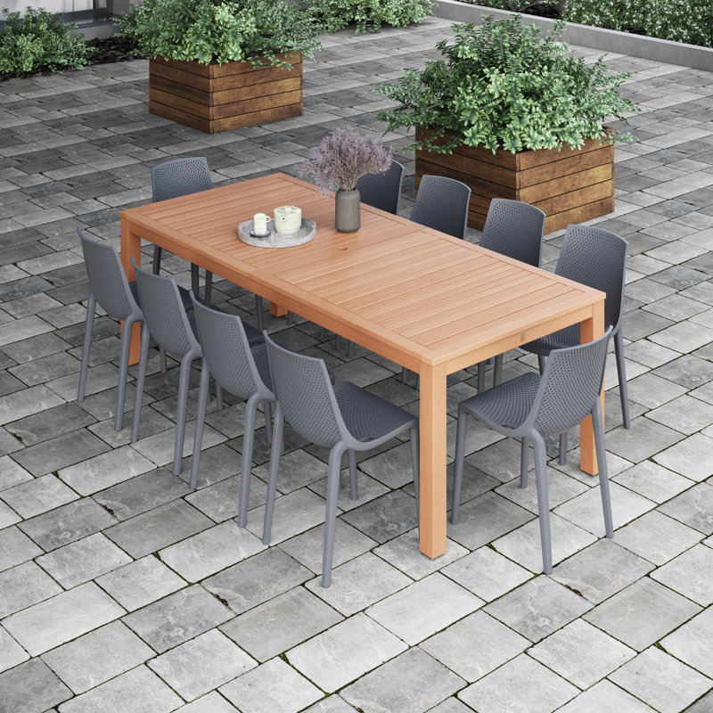 Anautica 10 - Person Patio Dining Set with Rectangular Table