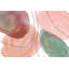 Petal Passion X-87404948-97702373-97702385