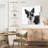 Brampt Snow Covered Border Collie-109373595