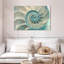 À l'intérieur d'une coquille Nautilus-107502305