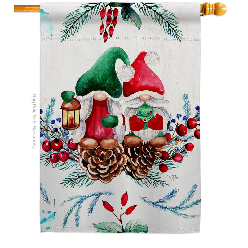 Double Sided 40 in. H x 28 in. W Polyester House Flag
