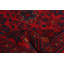 Tapis de zone en laine rouge/noir 6 pi x 9 pi 8 po noué la 2010s one-of-kind à la main-esari turque Allaina