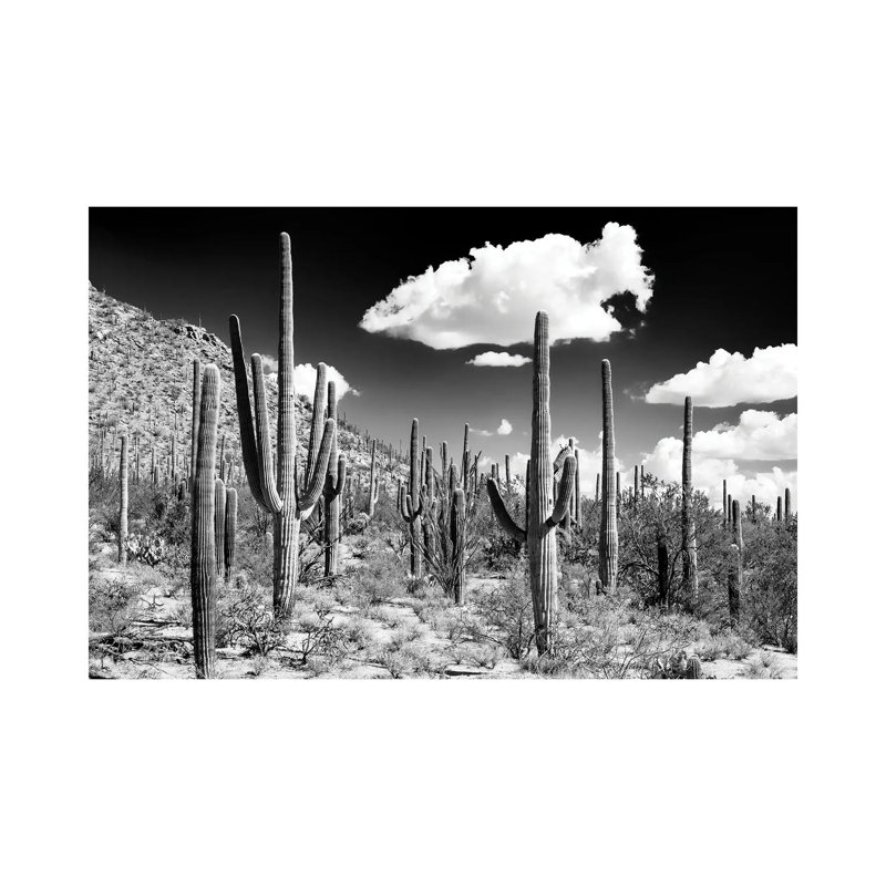 Série noire Arizona - Forêt de cactus-PHD1488, H 18 po x l 26 po x P 1,5 po