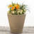 Self Watering Indoor/Outdoor Dot Planter-17049374-17023415