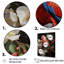 " Red Parrots Lively Radiance "-1037304936-1037304937