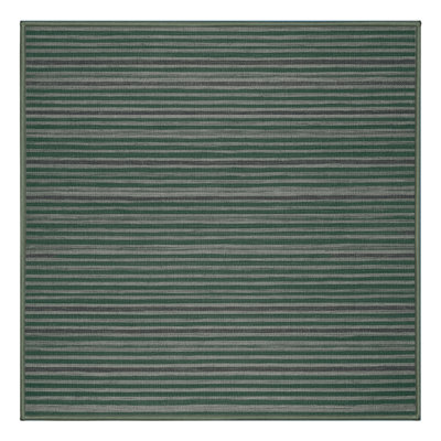 Machine Washable Horizontal Stripes Green Area Rug