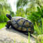 Statue de jardin de tortue