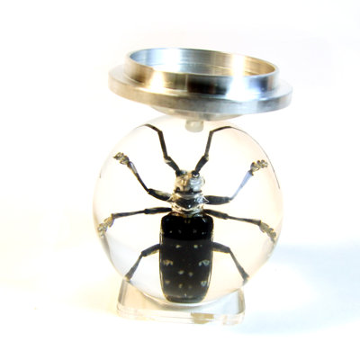 3'' H Plastic / Acrylic Tabletop Tealight Holder