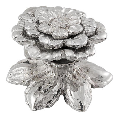 Carlotta Novelty Knob