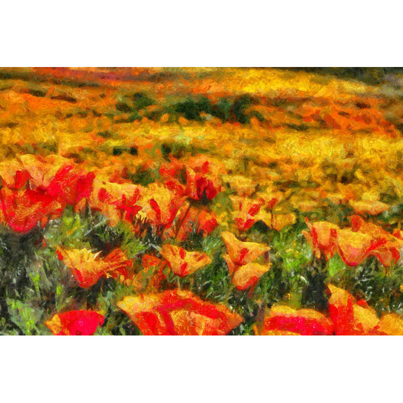 Painted Orange and Red Flower Field - Photographie sur toile tendue, H 8 po x l 12 po