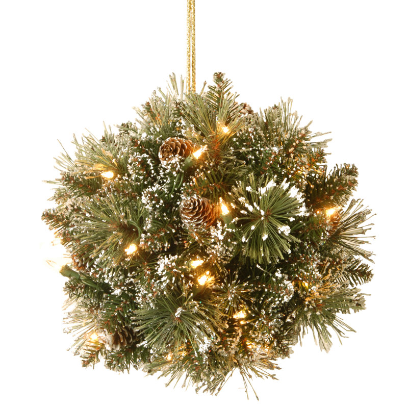 Boule de pin à poils scintillants 12 po avec lumières à DEL National Tree Company