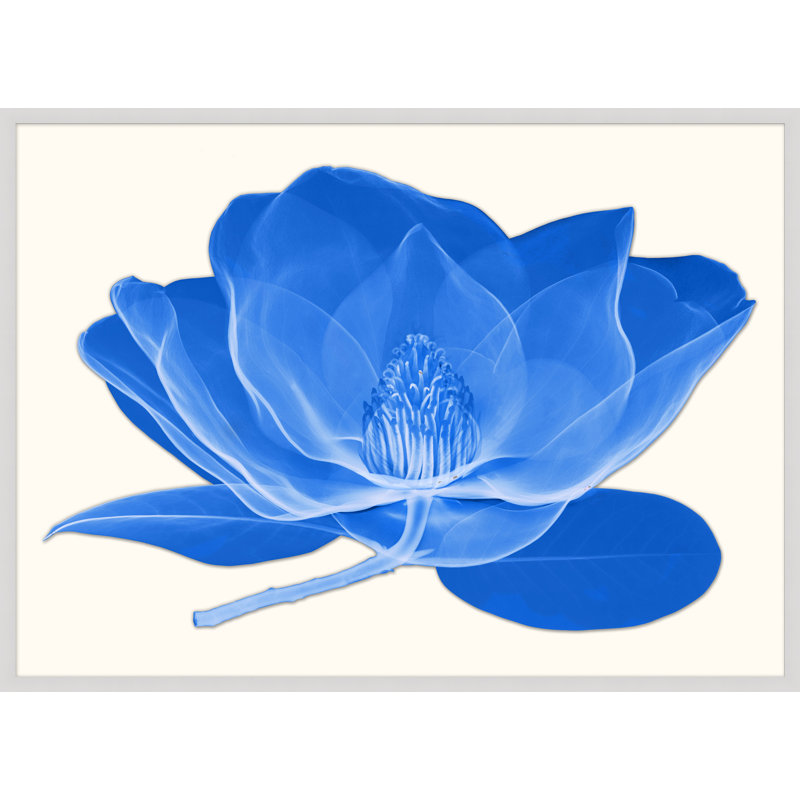 Efflorescence Print by Lillian August