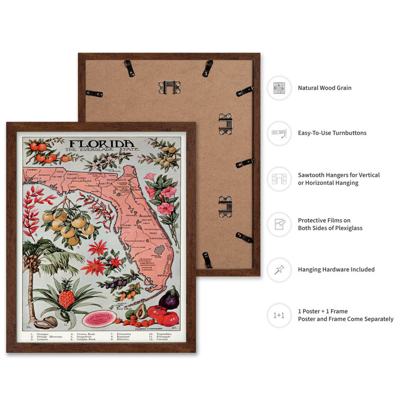 Floride - État de Everglade, Affiche, H 12 po x l 16 po, Encadrement brun
