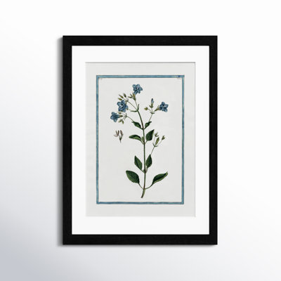 Colombe "Shabby Elegance Botanical II" Print