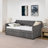 Twin Size Upholstery Daybed With Twin Size Pop-Up Trundle And USB Charging Design-1413429891