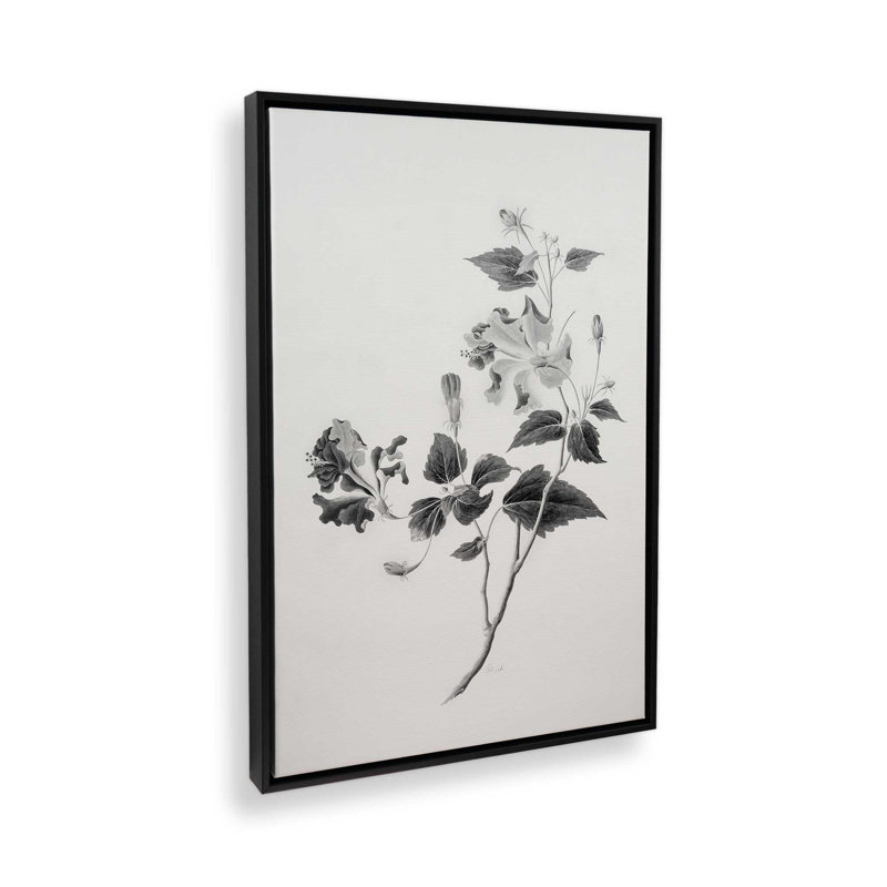 Botanical I by Deborah Revell Canvas Art Print, Black, Floater Frame, 12" H x 8" W