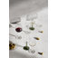 Hammershøi White Wine Glass-877825088-877825089