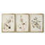 Pl. «194 Canadian Titmouse», ensemble de 3 reproductions d'art sur toile encadrées-1877724115-1877724124