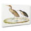 Two Herons by John Edward Gray - Wrapped Canvas-55361681